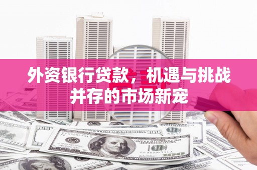 岳麓外资银行贷款，机遇与挑战并存的市场新宠