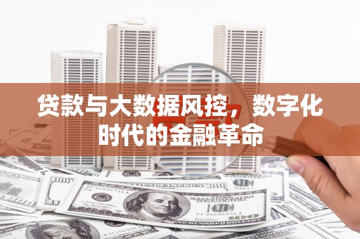 海安贷款与大数据风控，数字化时代的金融革命