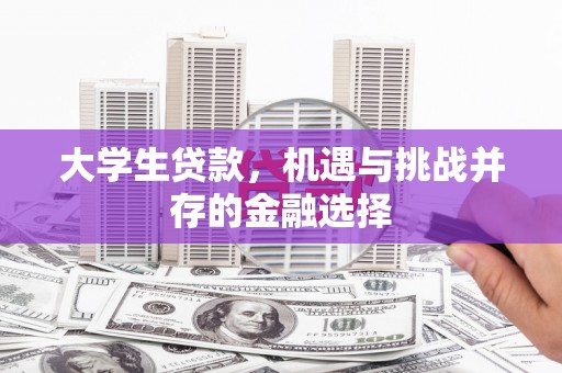 白碱滩大学生贷款，机遇与挑战并存的金融选择