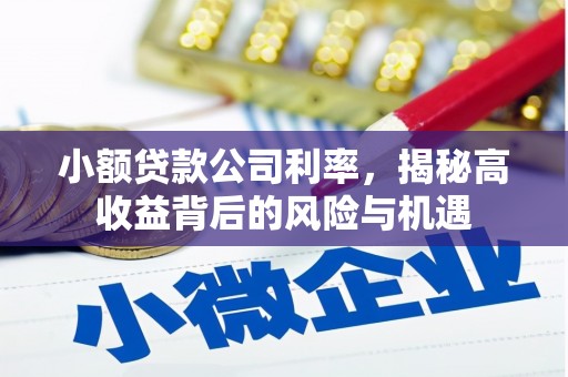 芦山小额贷款公司利率，揭秘高收益背后的风险与机遇