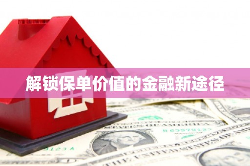 天宁解锁保单价值的金融新途径