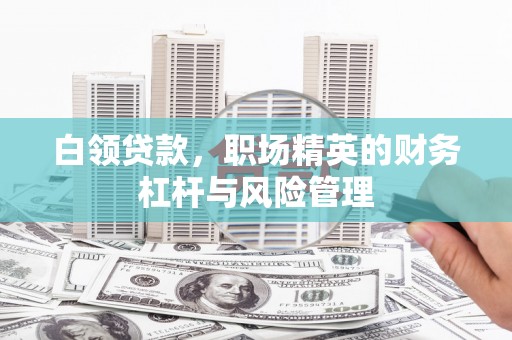 阳新白领贷款，职场精英的财务杠杆与风险管理