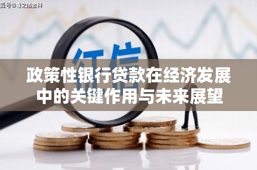 平江政策性银行贷款在经济发展中的关键作用与未来展望
