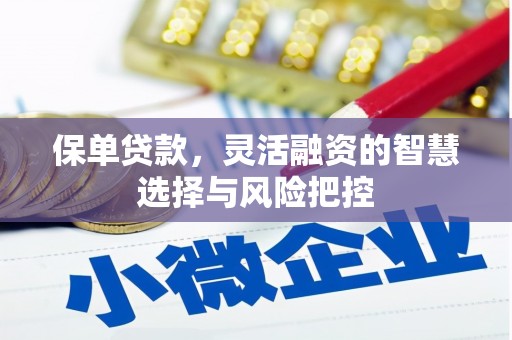 西安保单贷款，灵活融资的智慧选择与风险把控