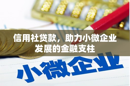 郊区信用社贷款，助力小微企业发展的金融支柱