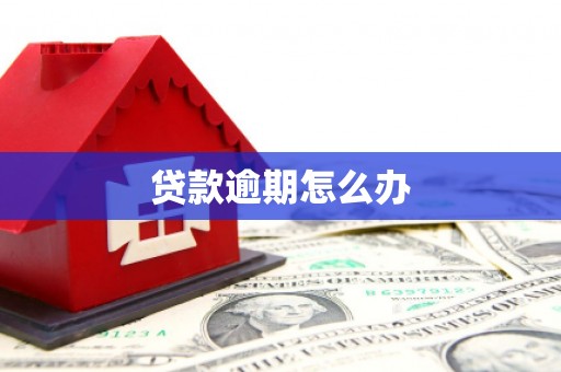 禅城贷款逾期怎么办