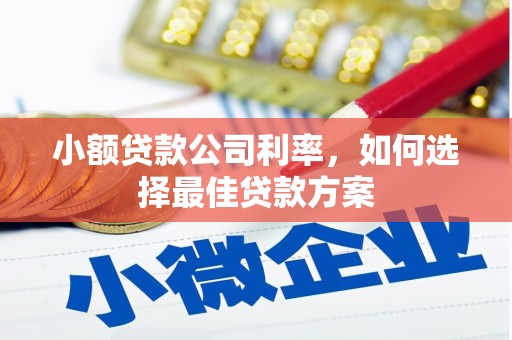 保税区小额贷款公司利率，如何选择最佳贷款方案