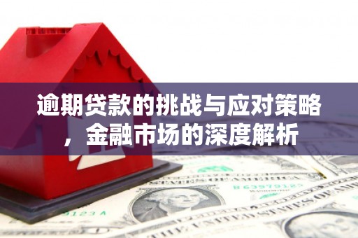 鹿草逾期贷款的挑战与应对策略，金融市场的深度解析