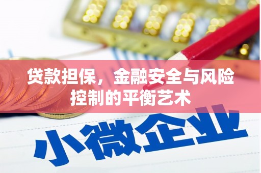 蓬江贷款担保，金融安全与风险控制的平衡艺术