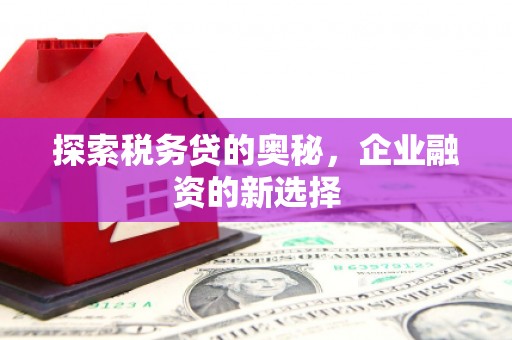 来宾探索税务贷的奥秘，企业融资的新选择