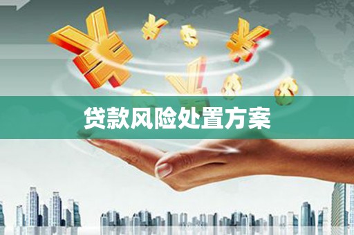 嘉禾贷款风险处置方案