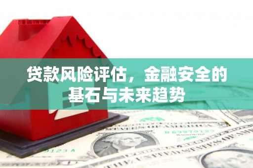 进贤贷款风险评估，金融安全的基石与未来趋势