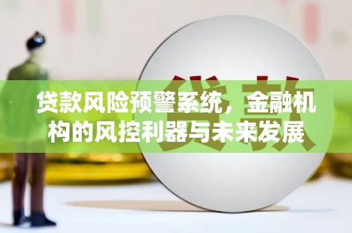 平乡贷款风险预警系统，金融机构的风控利器与未来发展