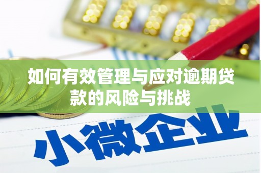 洛宁如何有效管理与应对逾期贷款的风险与挑战