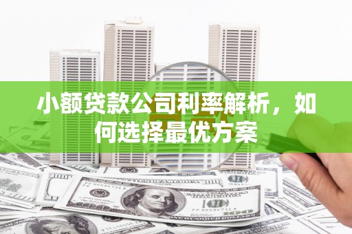 慈溪小额贷款公司利率解析，如何选择最优方案