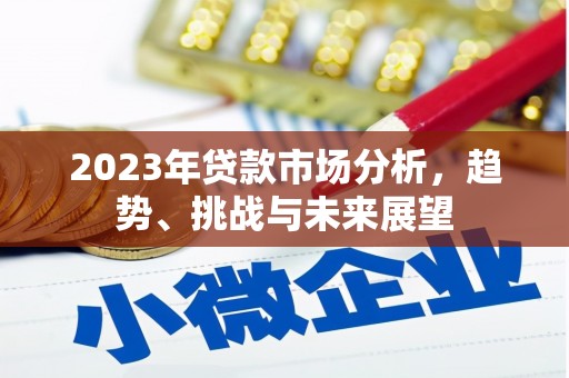 汇川2023年贷款市场分析，趋势、挑战与未来展望