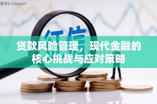 仁寿贷款风险管理，现代金融的核心挑战与应对策略
