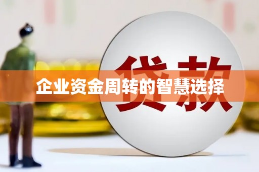 四湖企业资金周转的智慧选择