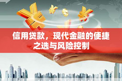 景东信用贷款，现代金融的便捷之选与风险控制