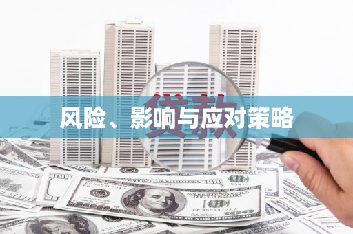 龙崎风险、影响与应对策略