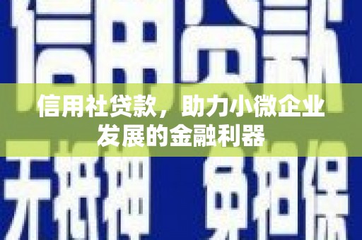 阜城信用社贷款，助力小微企业发展的金融利器