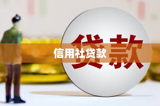 平舆信用社贷款