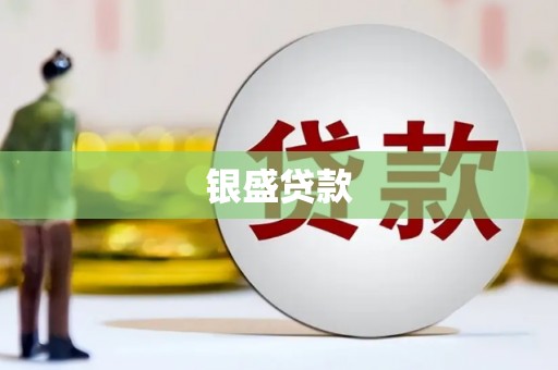 隆阳银盛贷款