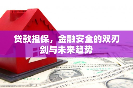 阳泉贷款担保，金融安全的双刃剑与未来趋势