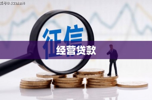 永平经营贷款