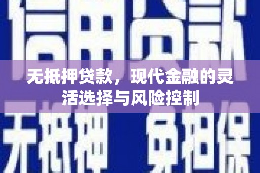越秀无抵押贷款，现代金融的灵活选择与风险控制