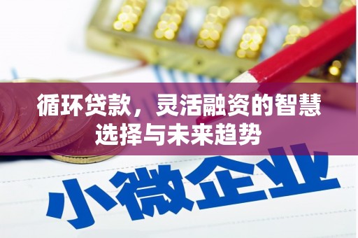 梨树县循环贷款，灵活融资的智慧选择与未来趋势