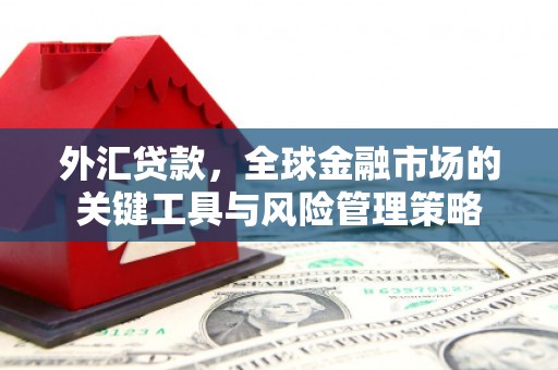 佳冬外汇贷款，全球金融市场的关键工具与风险管理策略