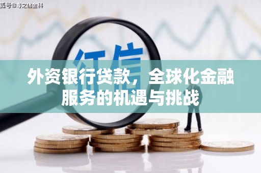 松溪外资银行贷款，全球化金融服务的机遇与挑战