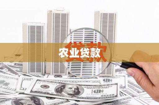 岳塘农业贷款