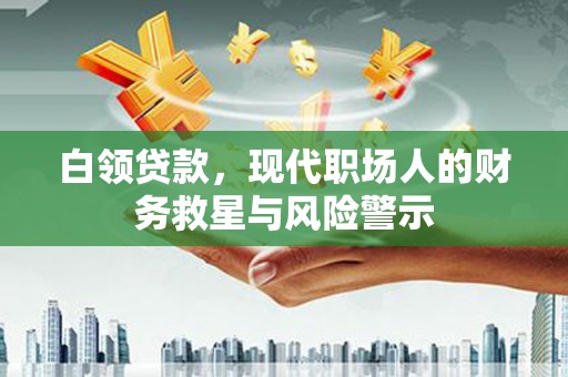 南阳白领贷款，现代职场人的财务救星与风险警示