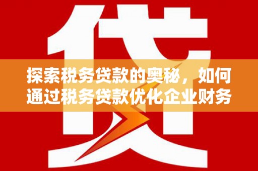 花坛探索税务贷款的奥秘，如何通过税务贷款优化企业财务