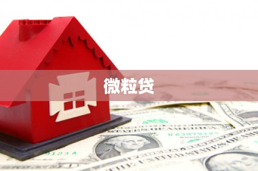 施甸微粒贷