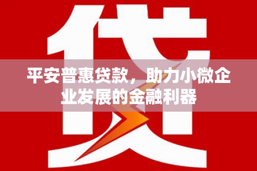 鹤庆平安普惠贷款，助力小微企业发展的金融利器