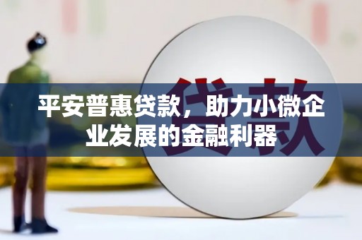 邵武平安普惠贷款，助力小微企业发展的金融利器
