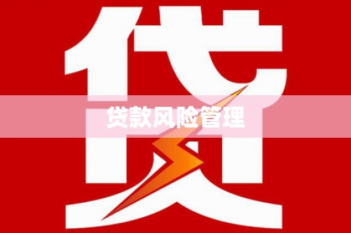 芦洲贷款风险管理
