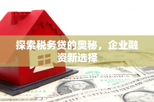 阿克塞探索税务贷的奥秘，企业融资新选择
