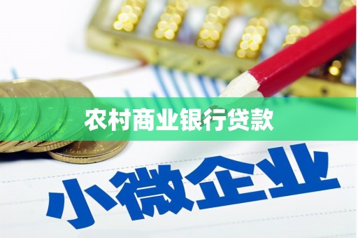 舒城农村商业银行贷款