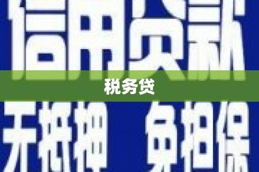 洋县税务贷