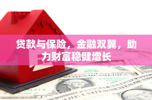 郧西贷款与保险，金融双翼，助力财富稳健增长