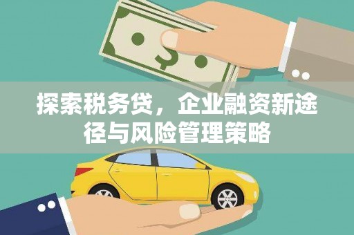 宝安探索税务贷，企业融资新途径与风险管理策略