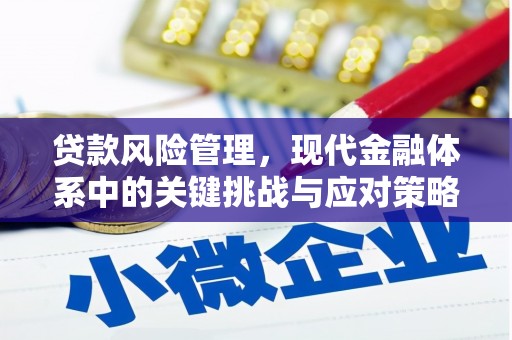 江阴贷款风险管理，现代金融体系中的关键挑战与应对策略
