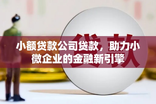 大村小额贷款公司贷款，助力小微企业的金融新引擎
