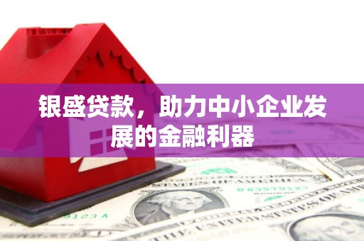 江津银盛贷款，助力中小企业发展的金融利器