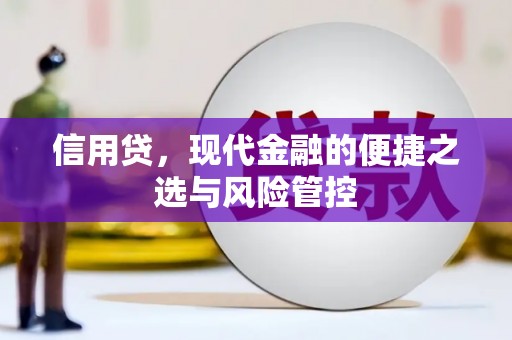 西屯信用贷，现代金融的便捷之选与风险管控
