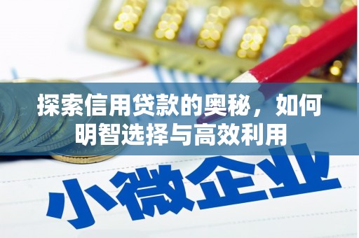 云龙探索信用贷款的奥秘，如何明智选择与高效利用